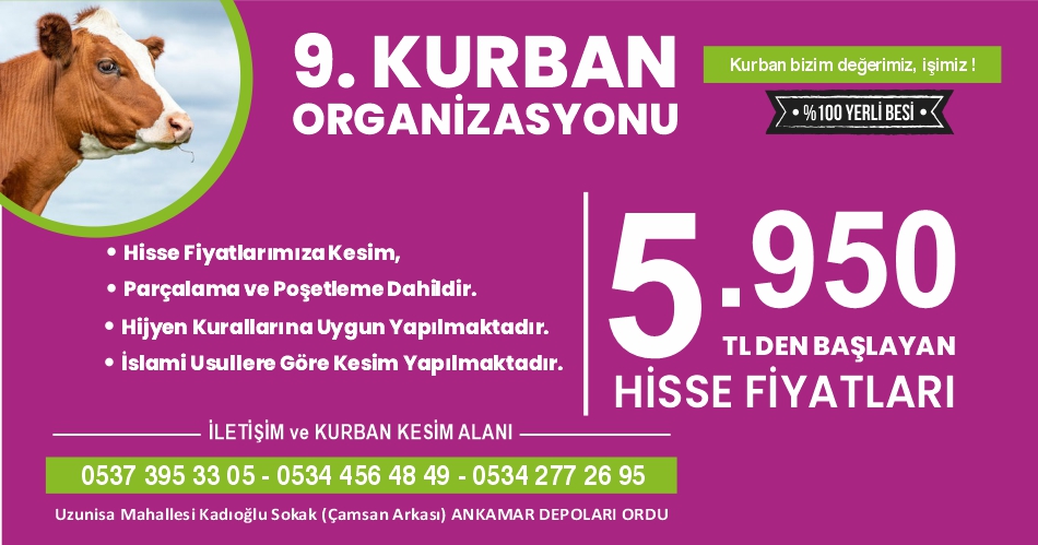 Gelsineve